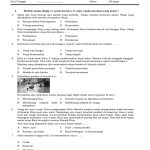 soal pat tema 5 kelas 3 soal pat tema 5 kelas 3