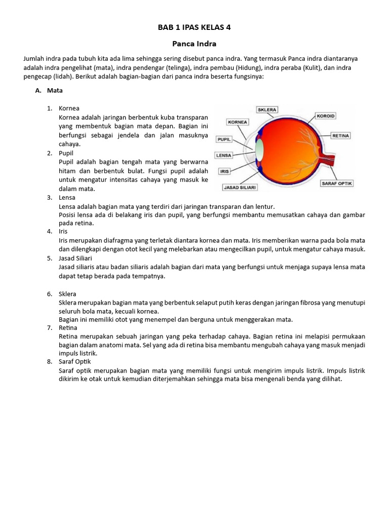 Rangkuman Panca Indra Kelas 4 PDF