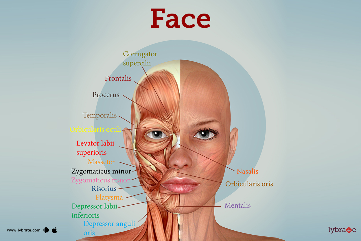 Ternyata Ini Cara Mengubah Teks Menjadi Gambar di Word Agar Dokumen Makin Menarik Ternyata Ini Cara Mengubah Teks Menjadi Gambar di Word Agar Dokumen Makin Menarik