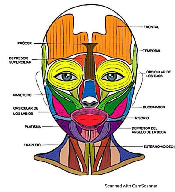 Ternyata Mudah, Begini Cara Mengubah Teks Word Bergaris ke Normal dengan Cepat Ternyata Mudah, Begini Cara Mengubah Teks Word Bergaris ke Normal dengan Cepat