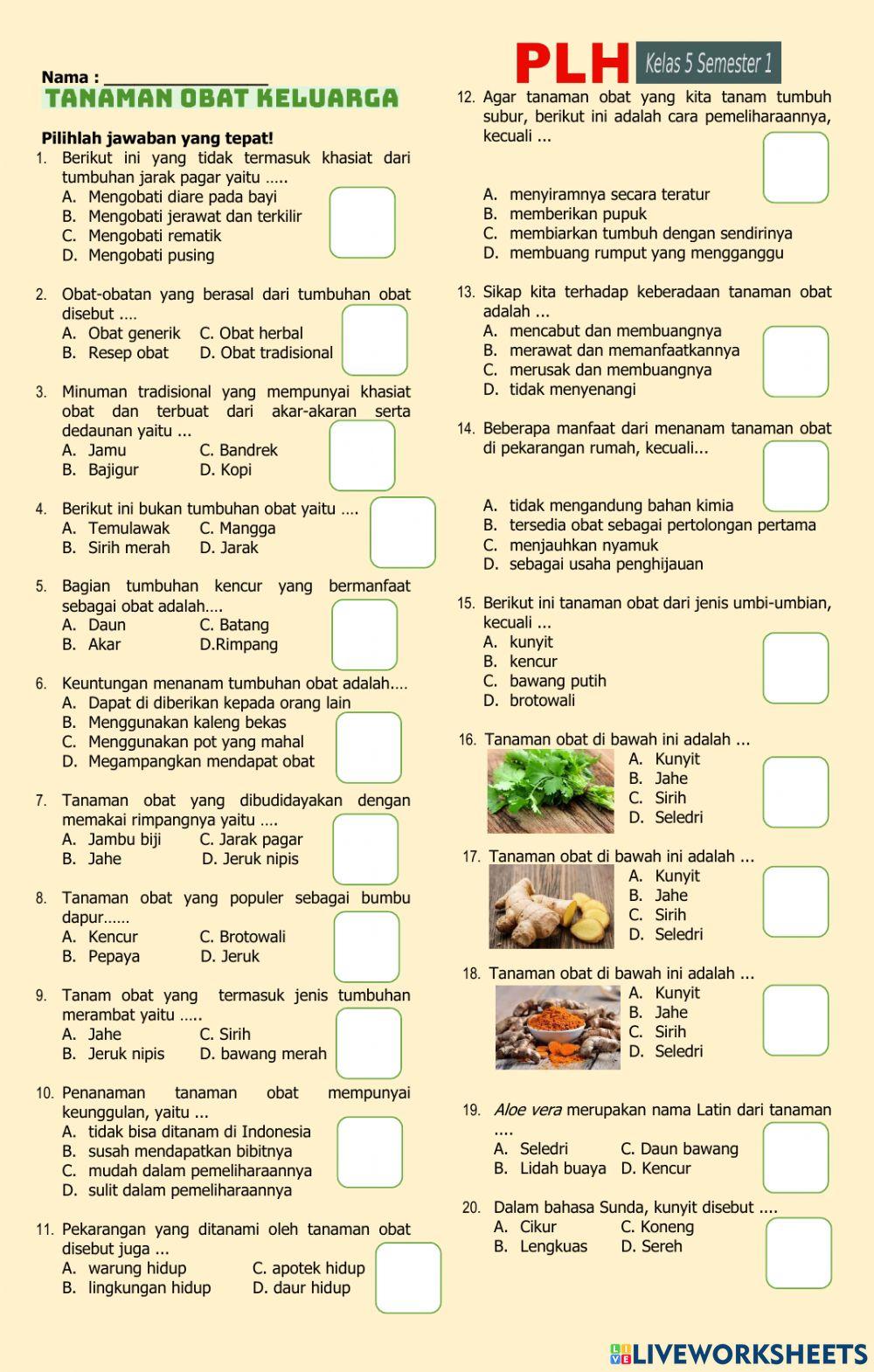 Rahasia Skor Sempurna dengan Latihan Soal PLH Kelas 5 Semester 1 Terbaru Rahasia Skor Sempurna dengan Latihan Soal PLH Kelas 5 Semester 1 Terbaru