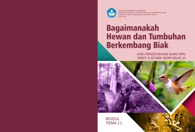 Rahasia Sukses Kerjakan Soal Tema 3 Subtema 4 Pembelajaran 2 Kelas 1 Agar Nilai Sempurna