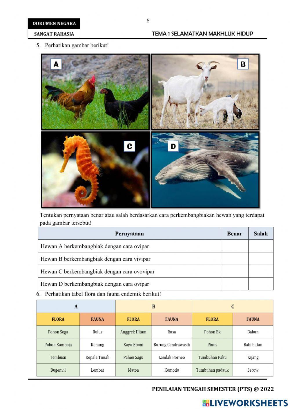 Rahasia Sukses Raih Nilai Sempurna dengan Latihan Soal PTS 1 Tema 2 Kelas 6 Terbaru Rahasia Sukses Raih Nilai Sempurna dengan Latihan Soal PTS 1 Tema 2 Kelas 6 Terbaru